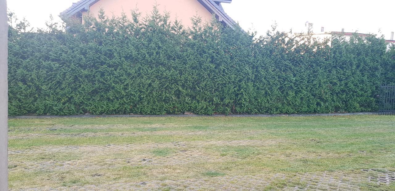 Pokoje Goscinne Pryzmat Władysławowo Eksteriør bilde